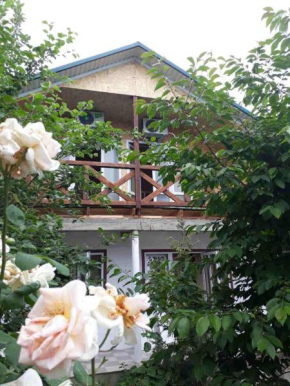 U Andreya Guest House